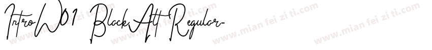 IntroW01 BlackAlt Regular字体转换